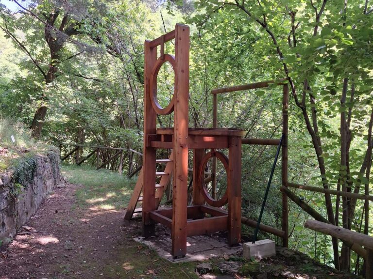 WhatsApp Image 2026-01-20 at 11.15