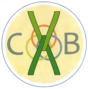 Associazione Centro Viganò del Buon Vicinato